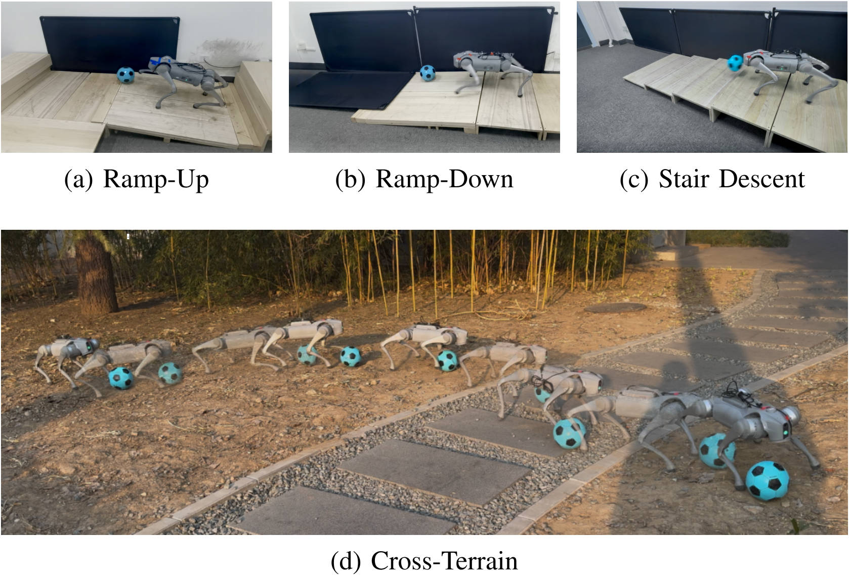 Description of the image